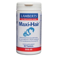 Lamberts Maxi-Hair Συμπλήρωμα Βιταμινών & Μετάλλων για Υγιή Μαλλιά & Δέρμα 60 ταμπλέτες